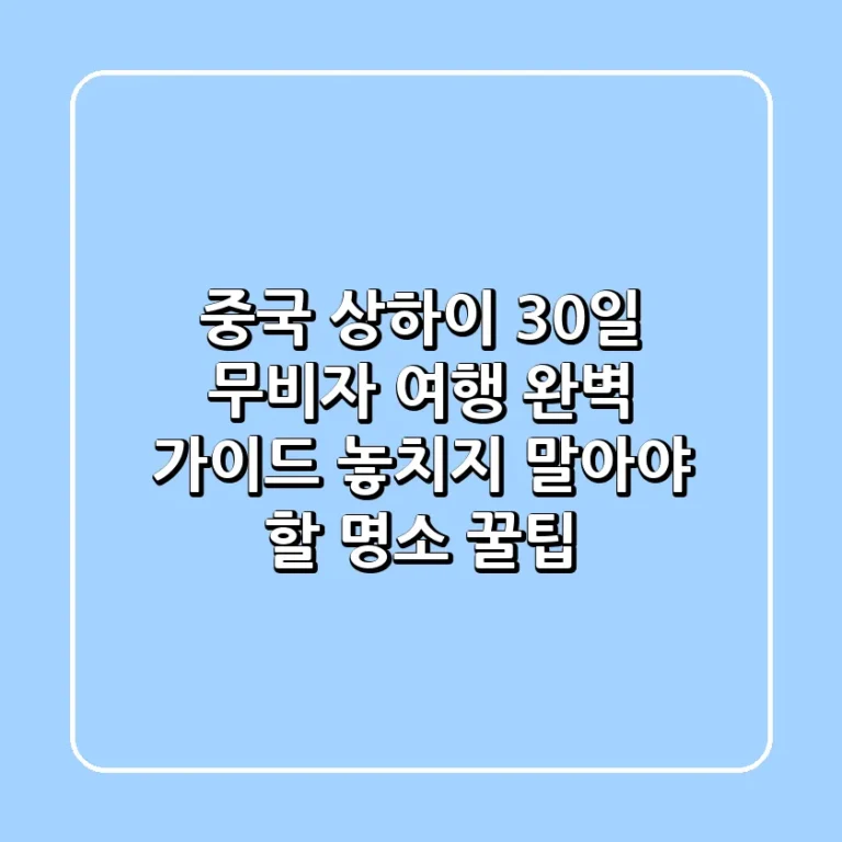 중국 상하이 30일 무비자 여행 완벽 가이드 놓치지 말아야 할 명소 꿀팁