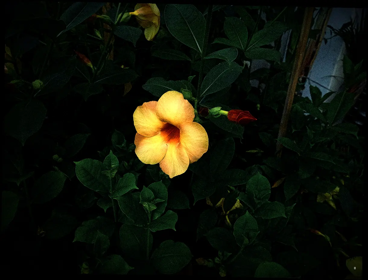 축제 정보 한눈에 보기