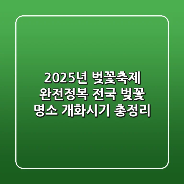2025년 벚꽃축제 완전정복 전국 벚꽃 명소 개화시기 총정리
