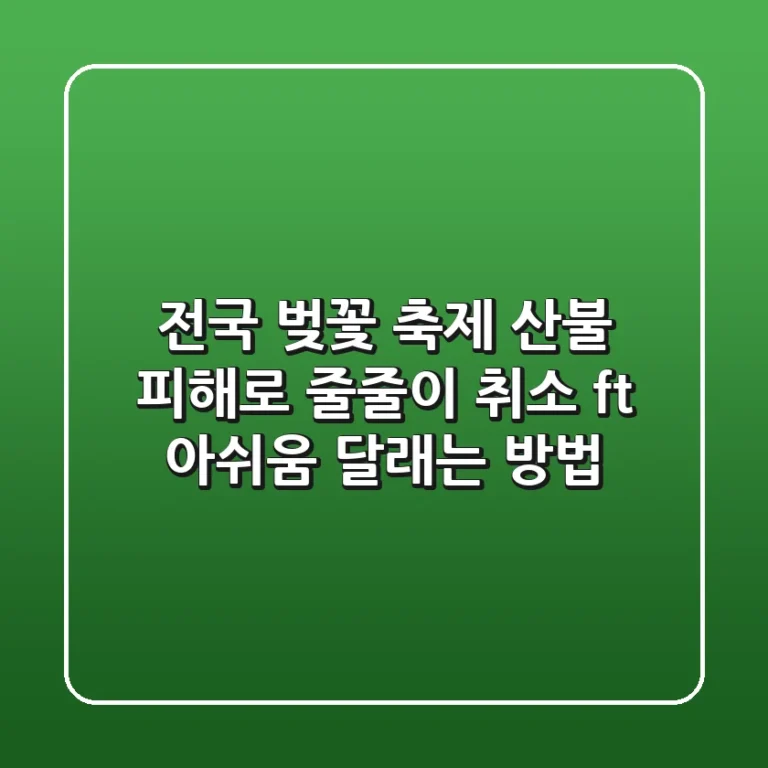 전국 벚꽃 축제 산불 피해로 줄줄이 취소 ft 아쉬움 달래는 방법