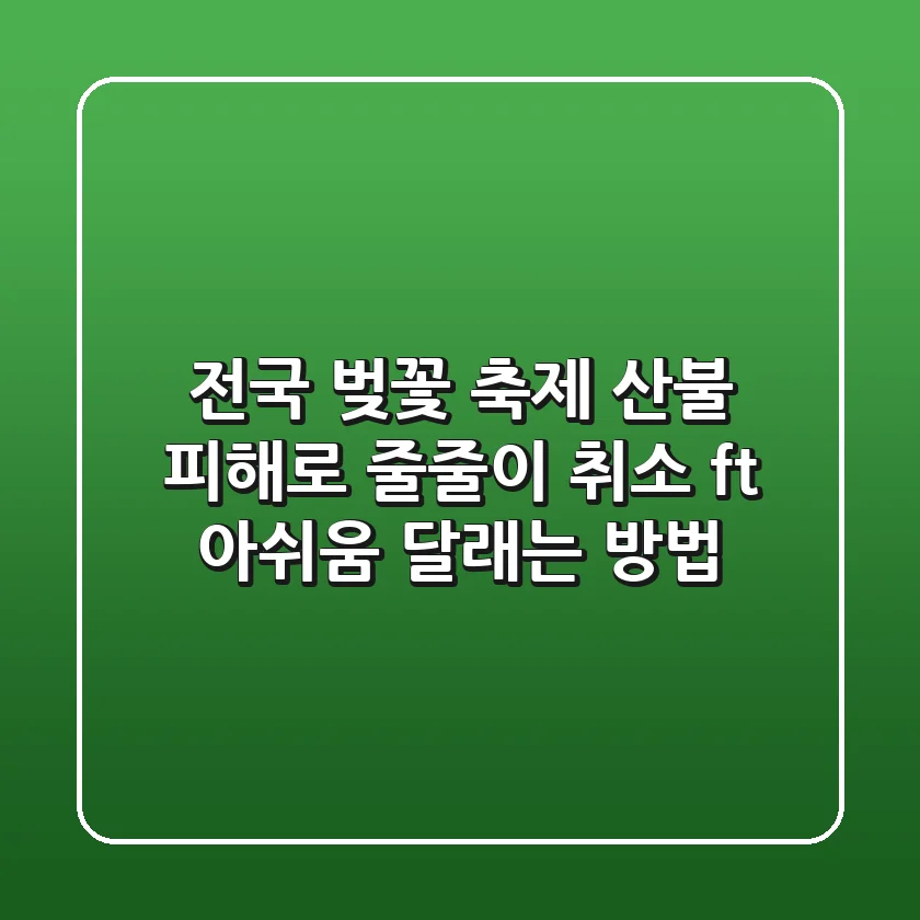 전국 벚꽃 축제, 산불 피해로 줄줄이 취소! (ft. 아쉬움 달래는 방법)