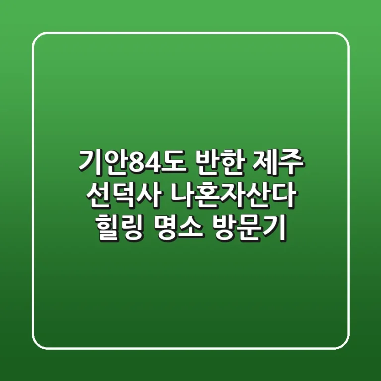 기안84도 반한 제주 선덕사: 나혼자산다 힐링 명소 방문기
