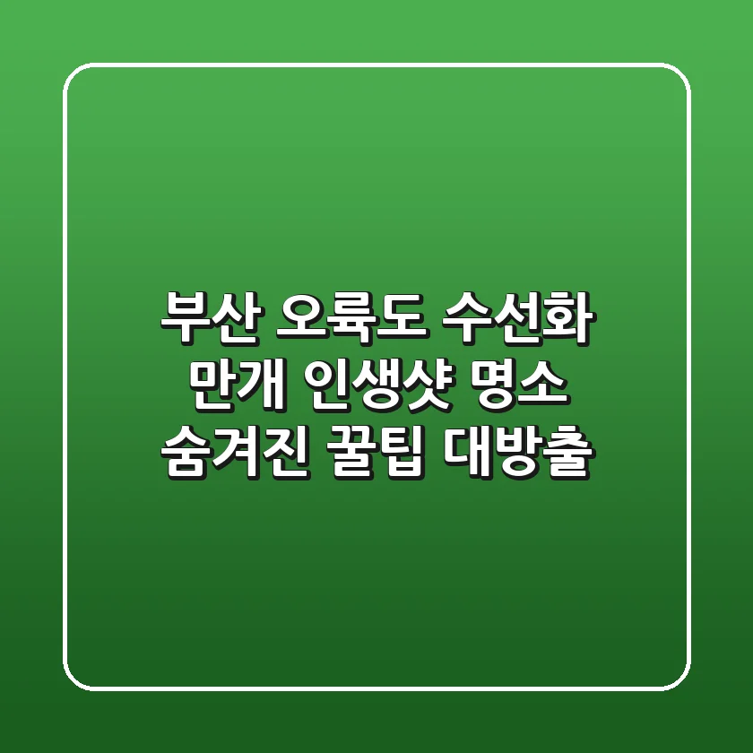 부산 오륙도 수선화 만개! 인생샷 명소 & 숨겨진 꿀팁 대방출