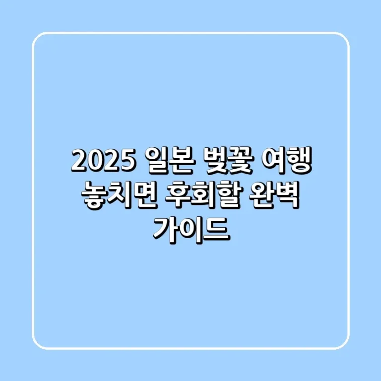 2025 일본 벚꽃 여행 놓치면 후회할 완벽 가이드
