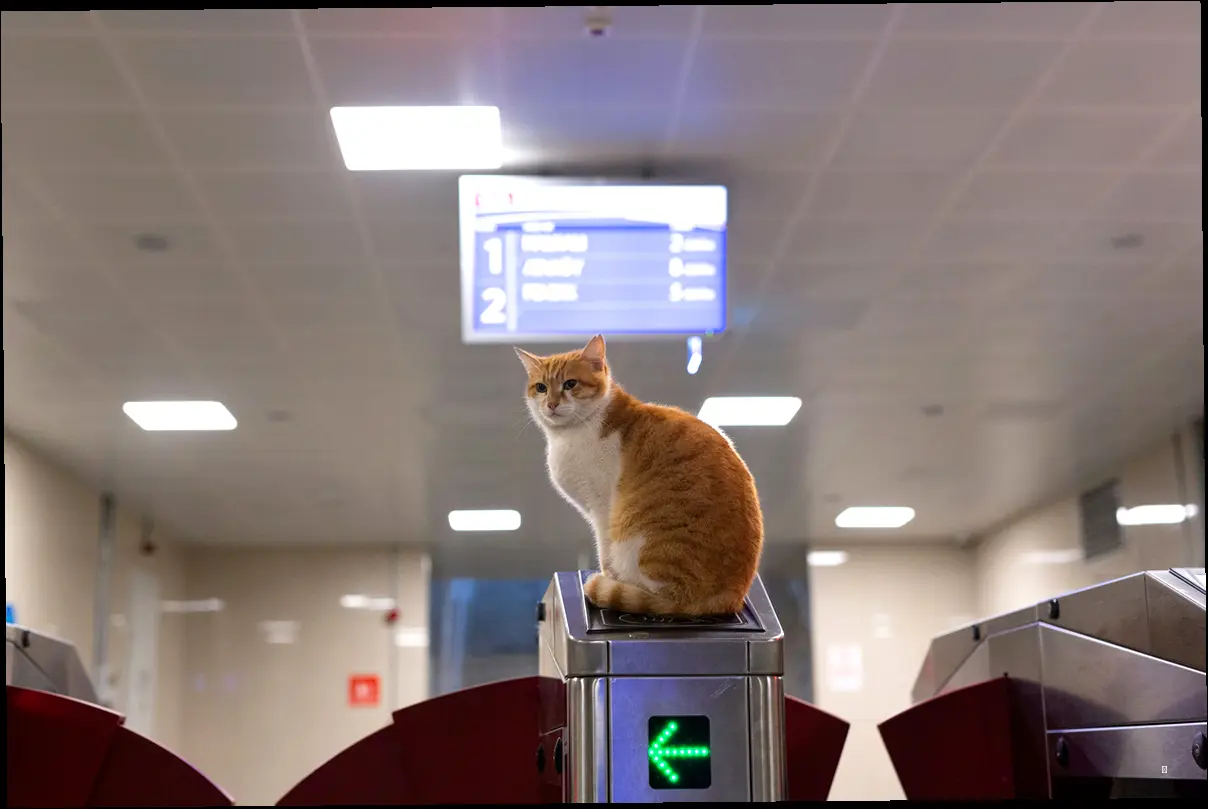 김해공항 바이오등록, 빠르고 편하게! (국내선, 국제선)