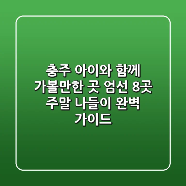충주 아이와 함께 가볼만한 곳 엄선 8곳! 주말 나들이 완벽 가이드