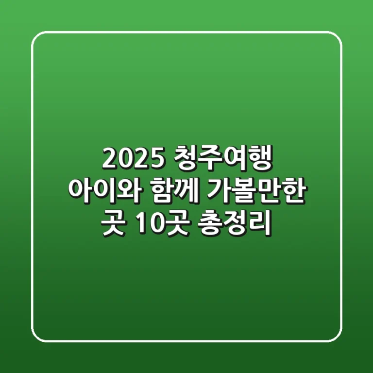 [2025 청주여행] 아이와 함께 가볼만한 곳 10곳 총정리