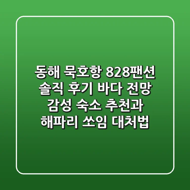 [동해 묵호항] 828팬션 솔직 후기! 바다 전망, 감성 숙소 추천과 해파리 쏘임 대처법