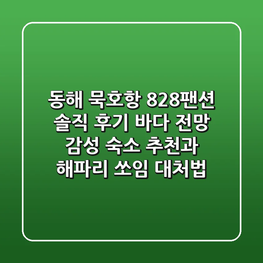[동해 묵호항] 828팬션 솔직 후기! 바다 전망, 감성 숙소 추천과 해파리 쏘임 대처법