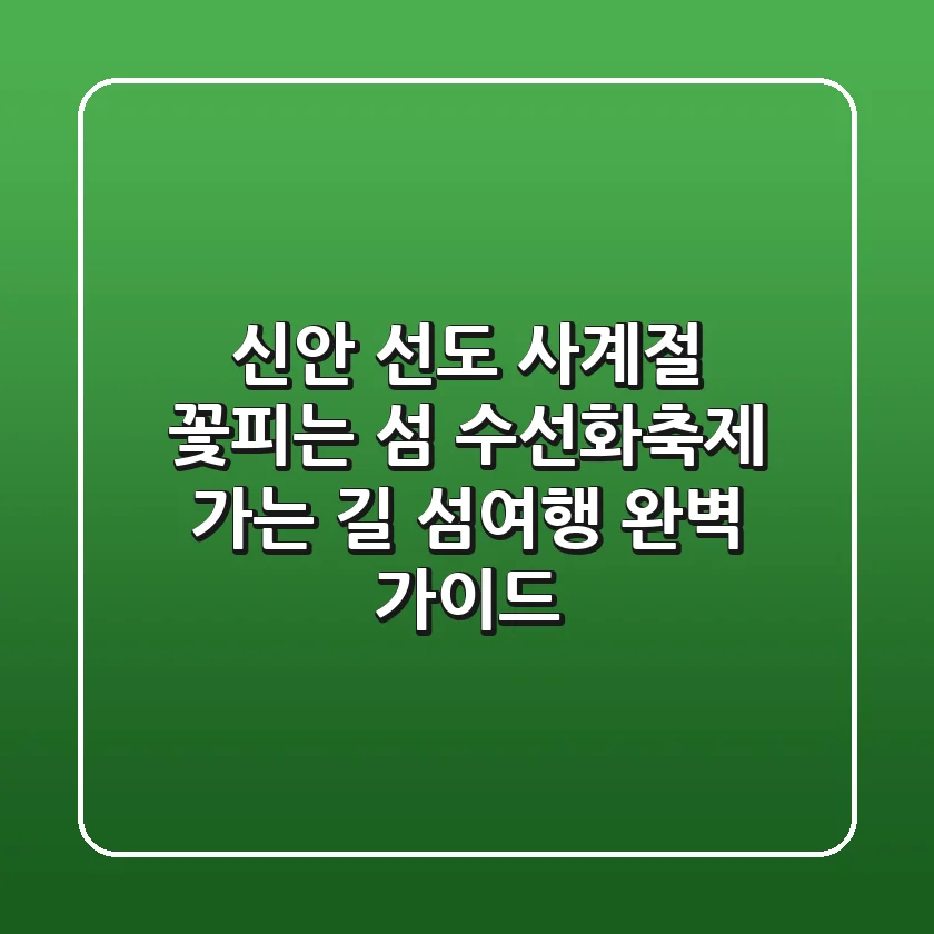 신안 선도: 사계절 꽃피는 섬, 수선화축제 가는 길 & 섬여행 완벽 가이드