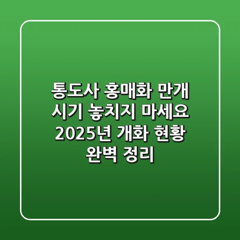 통도사 홍매화 만개 시기 놓치지 마세요! 2025년 개화 현황 완벽 정리