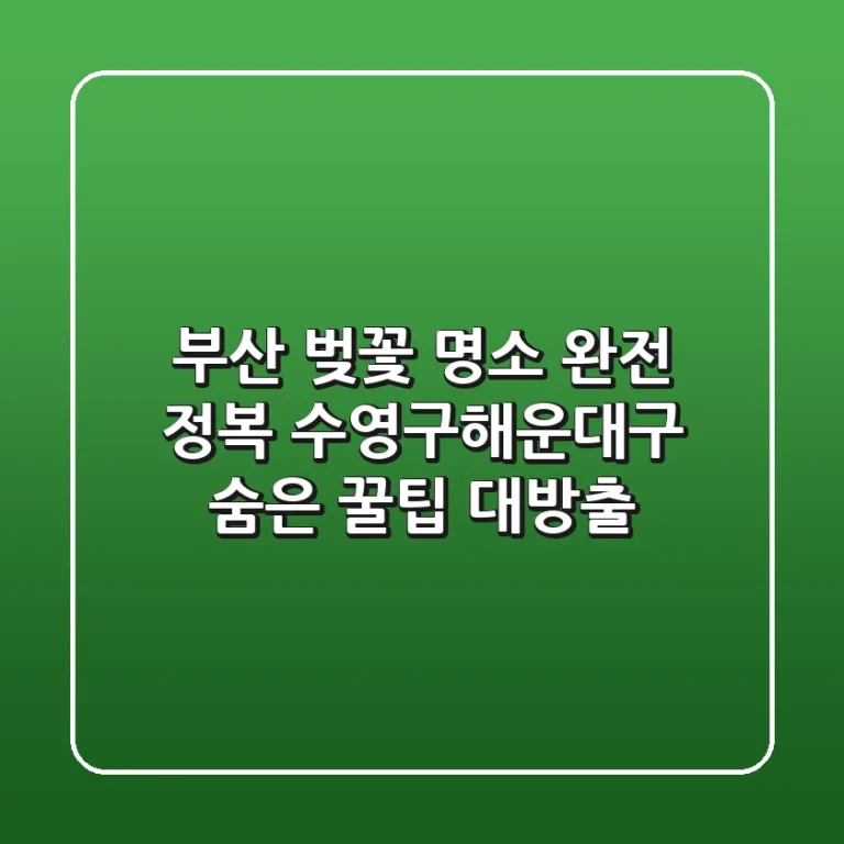 부산 벚꽃 명소 완전 정복! 수영구&해운대구 숨은 꿀팁 대방출