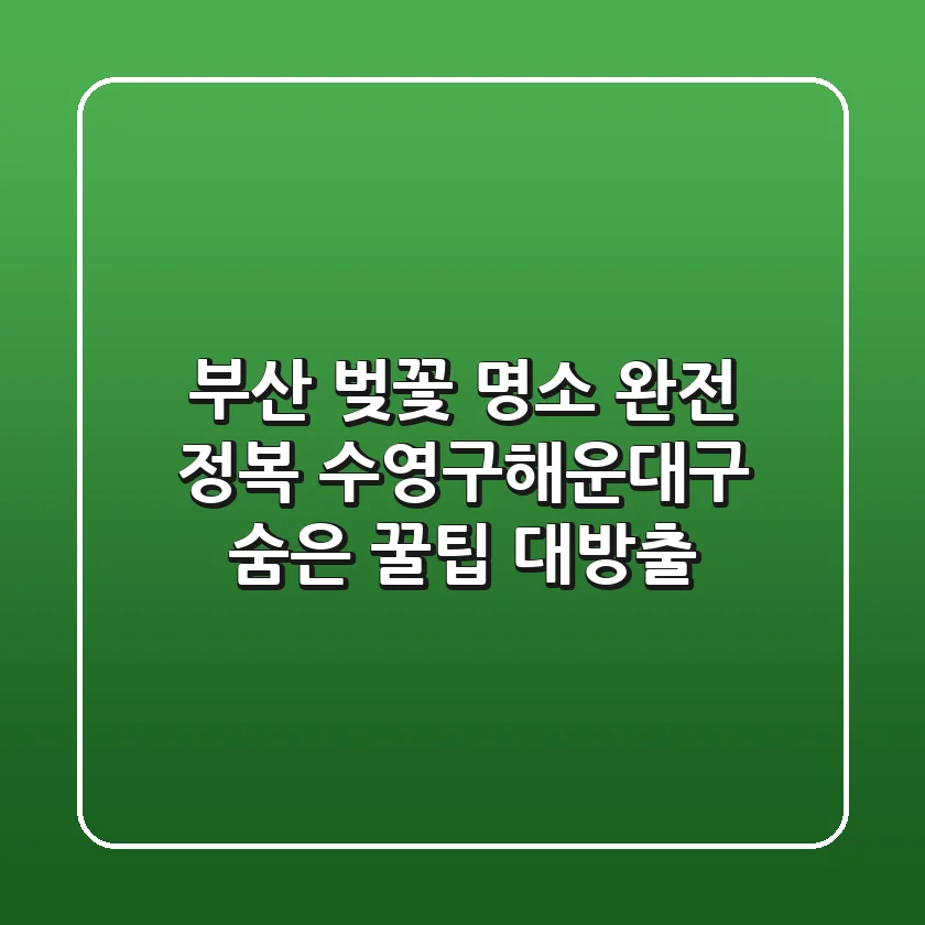 부산 벚꽃 명소 완전 정복! 수영구&해운대구 숨은 꿀팁 대방출