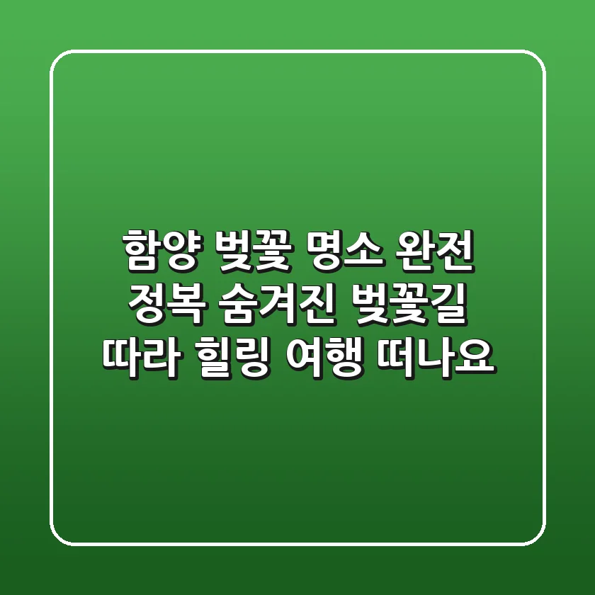 함양 벚꽃 명소 완전 정복! 🌸 숨겨진 벚꽃길 따라 힐링 여행 떠나요