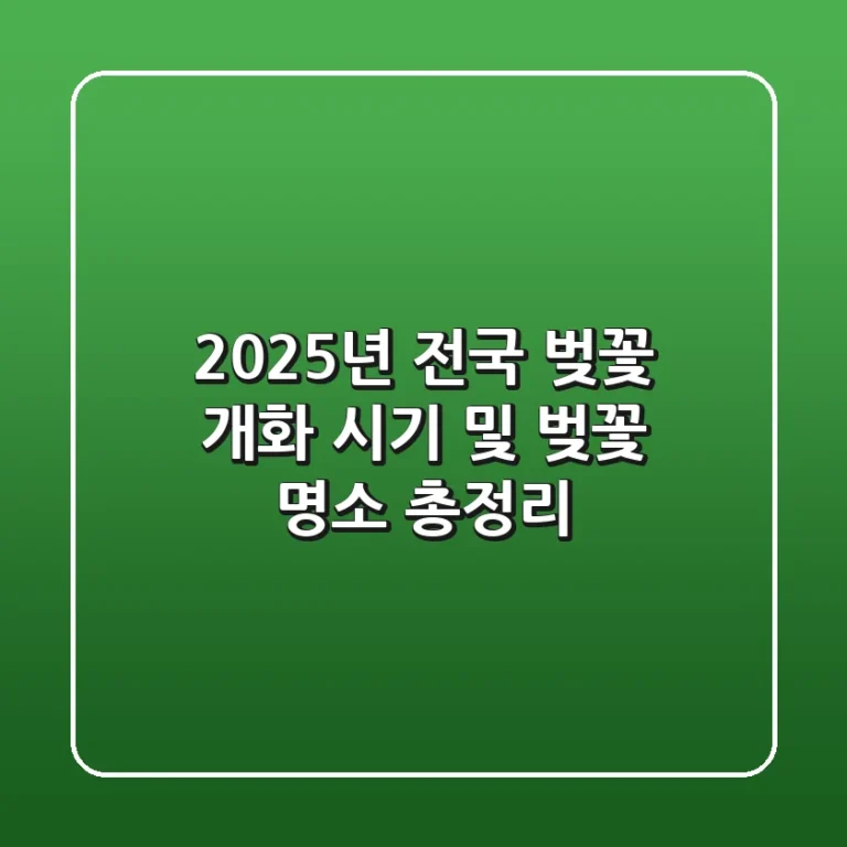 2025년 전국 벚꽃 개화 시기 및 벚꽃 명소 총정리🌸