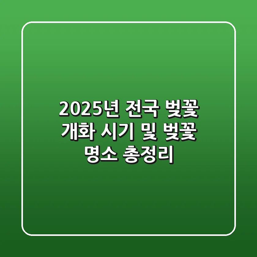 2025년 전국 벚꽃 개화 시기 및 벚꽃 명소 총정리🌸