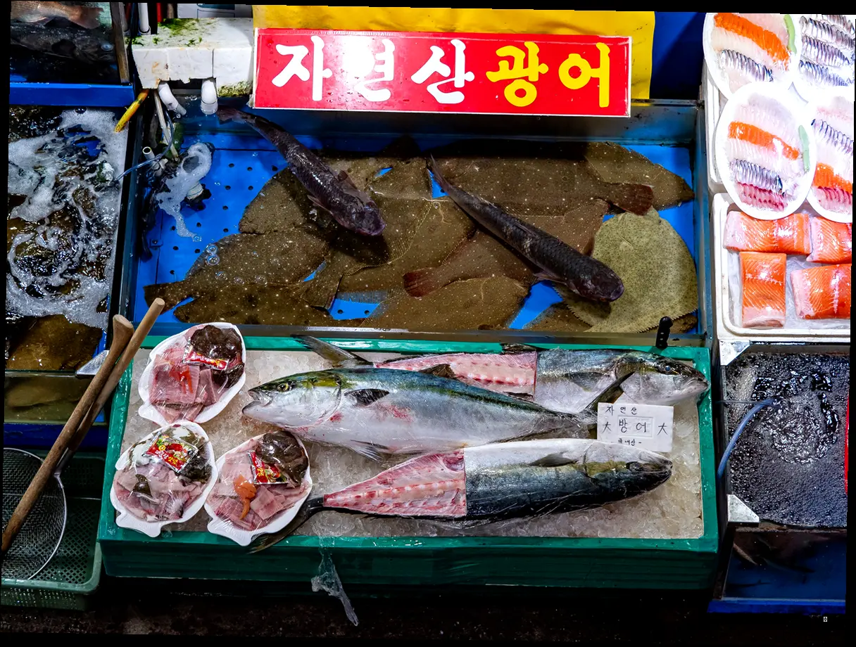 무창포 대잔치, 놓치면 후회할 주요 행사 BEST 4!