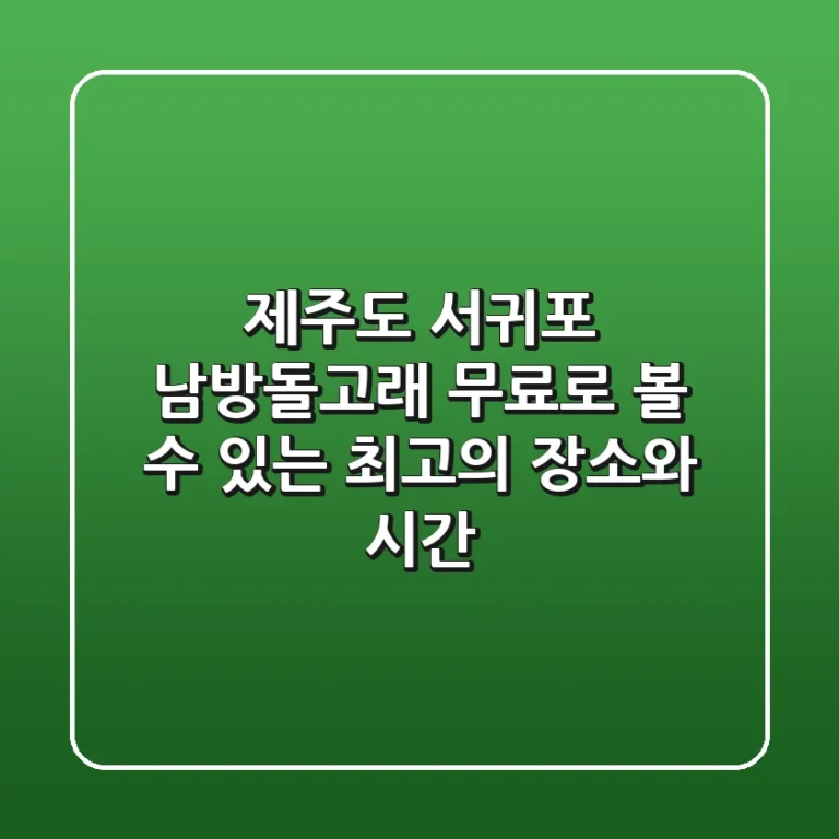 제주도 서귀포 남방돌고래 무료로 볼 수 있는 최고의 장소와 시간!