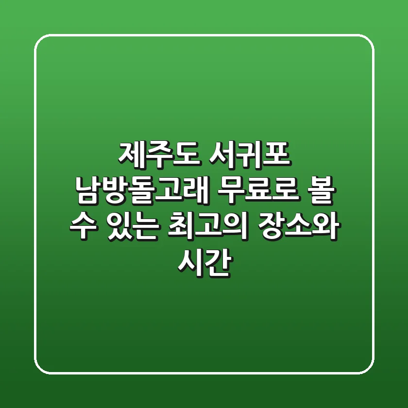 제주도 서귀포 남방돌고래 무료로 볼 수 있는 최고의 장소와 시간!