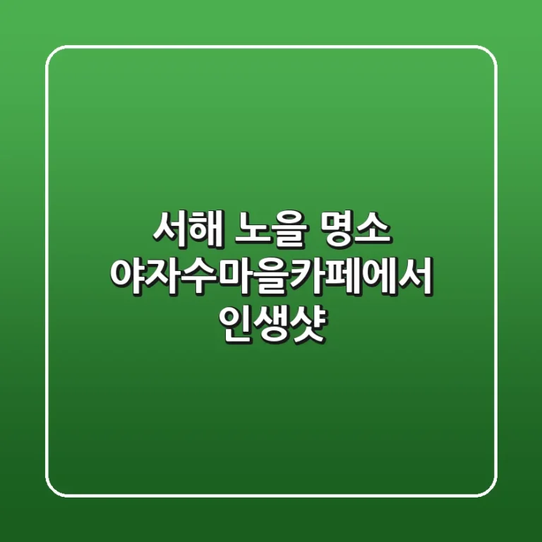 서해 노을 명소, 야자수마을카페에서 인생샷!🌅🌴