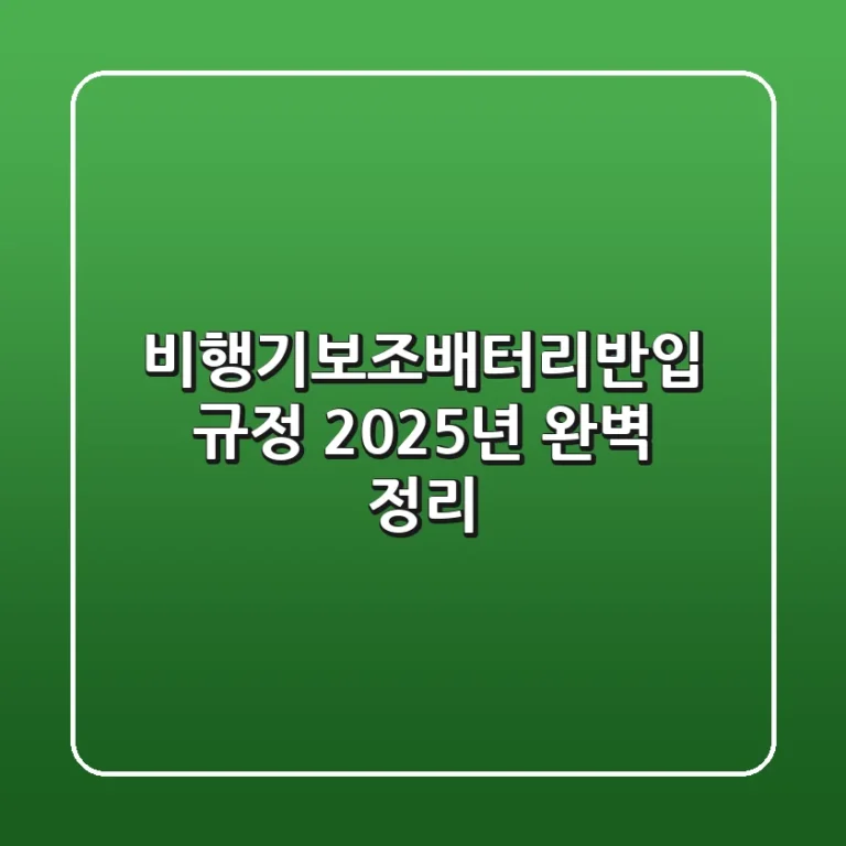 비행기보조배터리반입 규정 2025년 완벽 정리!