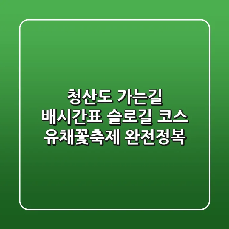 청산도 가는길: 배시간표, 슬로길 코스, 유채꽃축제 완전정복! 🌼