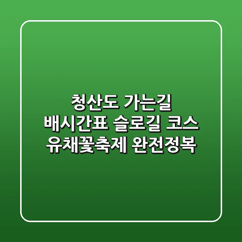 청산도 가는길: 배시간표, 슬로길 코스, 유채꽃축제 완전정복! 🌼
