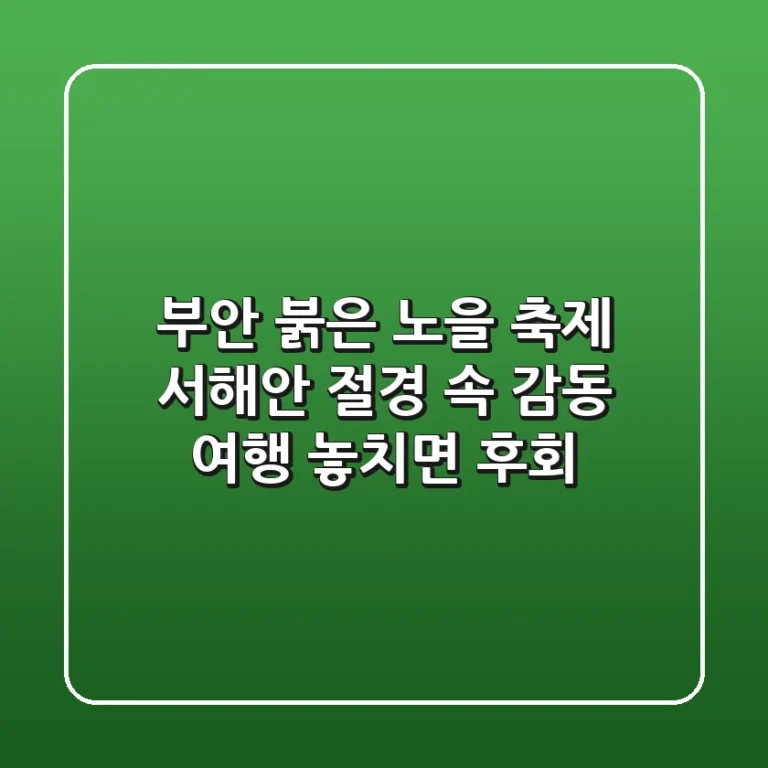 부안 붉은 노을 축제: 서해안 절경 속 감동 여행, 놓치면 후회!