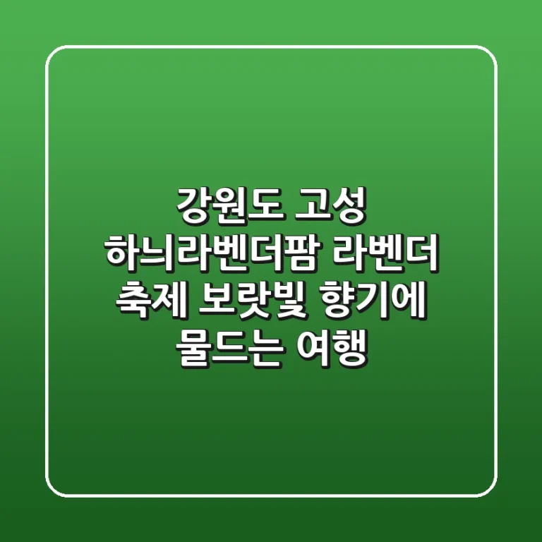 강원도 고성 하늬라벤더팜 라벤더 축제: 보랏빛 향기에 물드는 여행