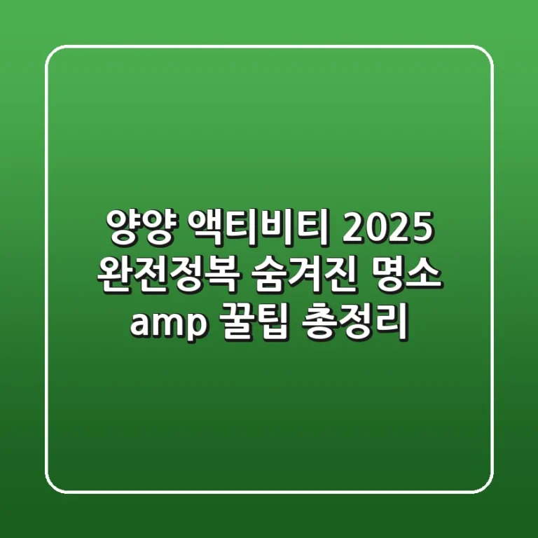 양양 액티비티 2025 완전정복: 숨겨진 명소 & 꿀팁 총정리