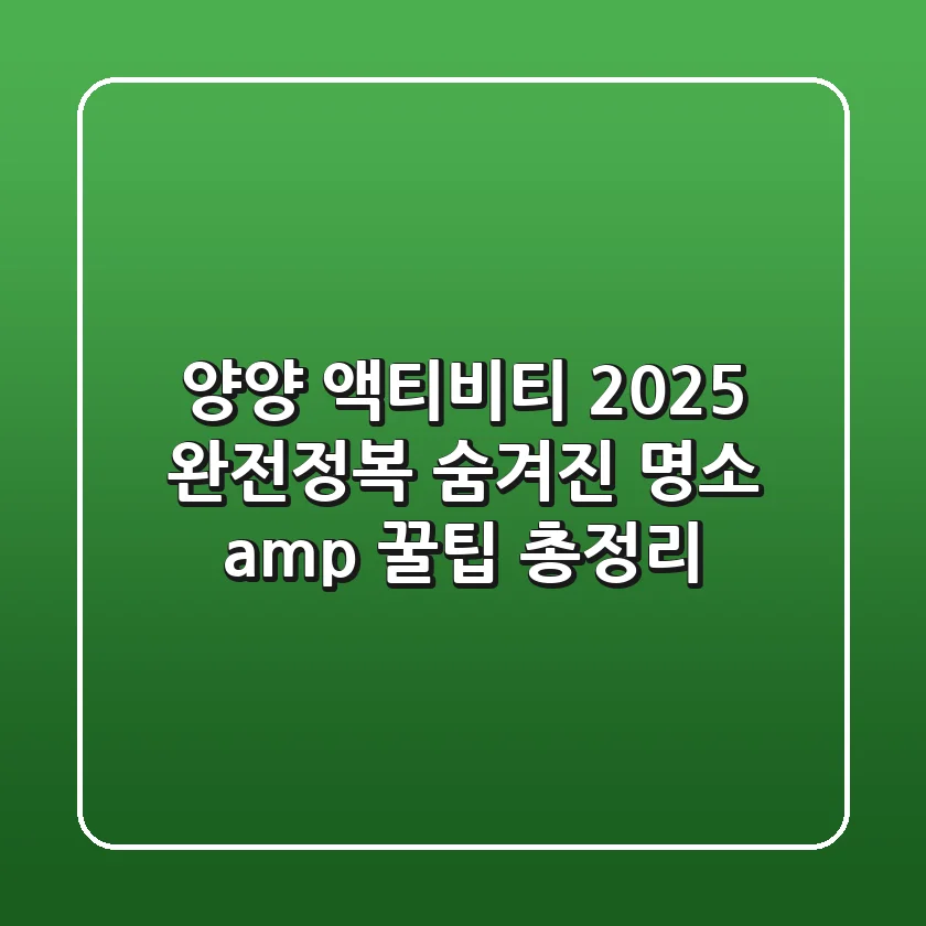 양양 액티비티 2025 완전정복: 숨겨진 명소 & 꿀팁 총정리