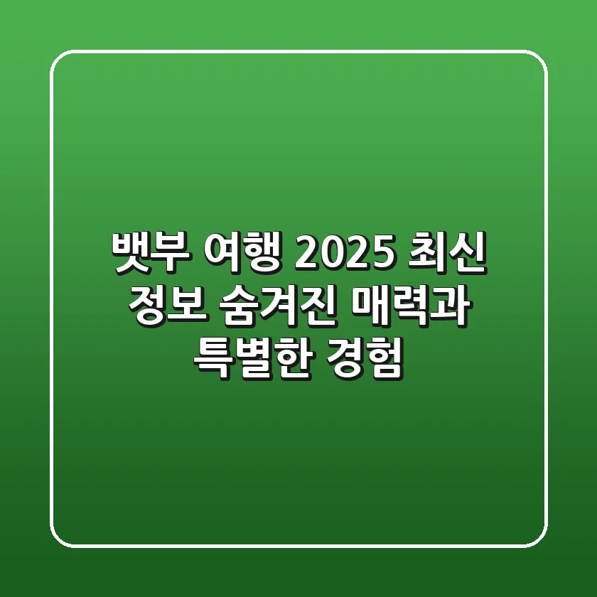 뱃부 여행, 2025 최신 정보: 숨겨진 매력과 특별한 경험