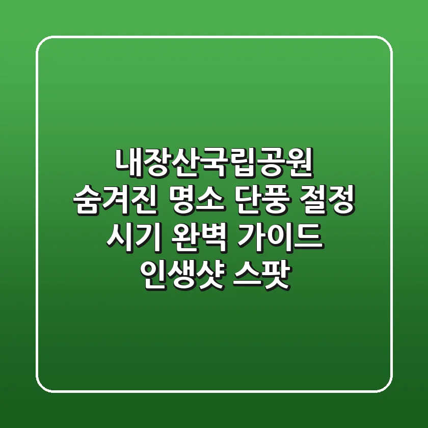 내장산국립공원 숨겨진 명소: 단풍 절정 시기 완벽 가이드 & 인생샷 스팟