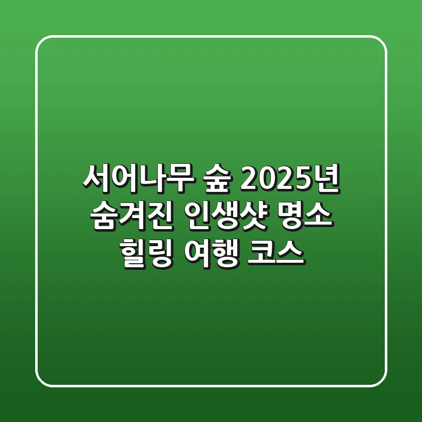 서어나무 숲, 2025년 숨겨진 인생샷 명소 & 힐링 여행 코스