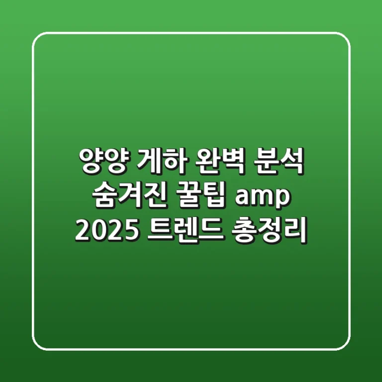 양양 게하 완벽 분석: 숨겨진 꿀팁 & 2025 트렌드 총정리