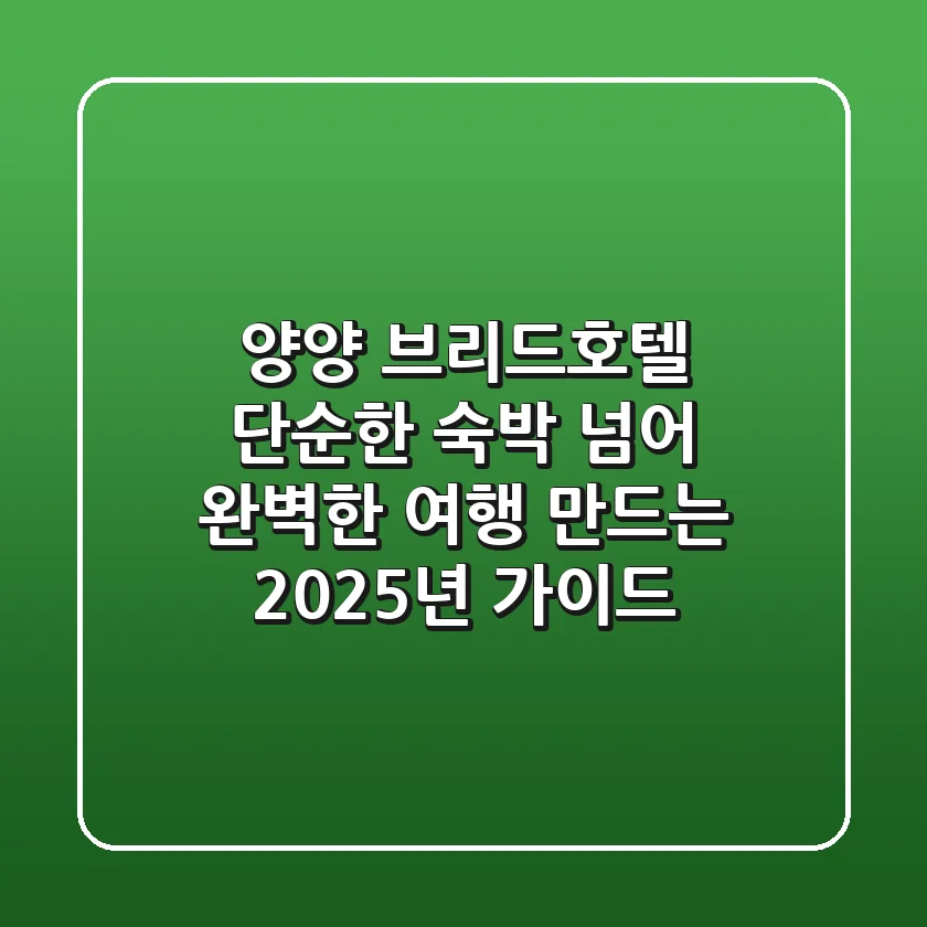 양양 브리드호텔, 단순한 숙박 넘어 완벽한 여행 만드는 2025년 가이드