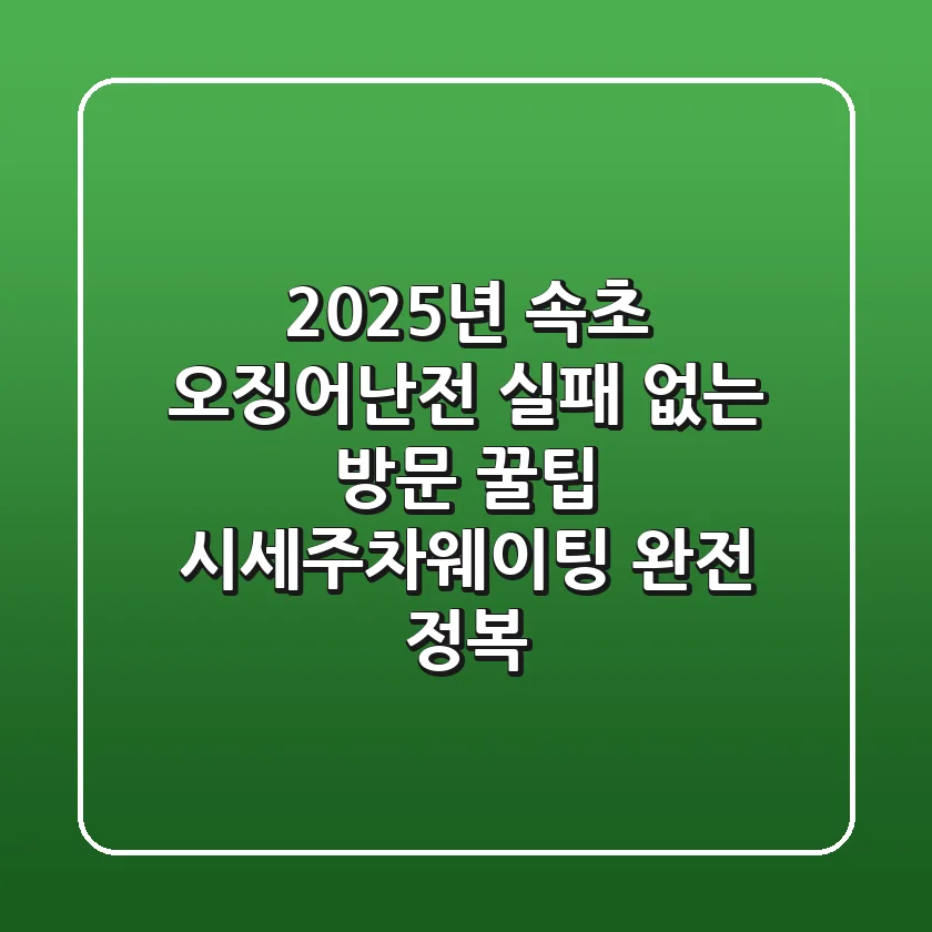 2025년 속초 오징어난전, 실패 없는 방문 꿀팁 (시세/주차/웨이팅 완전 정복)