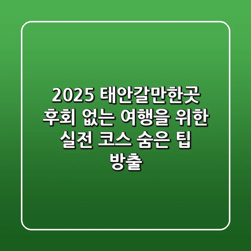 2025 태안갈만한곳: 후회 없는 여행을 위한 실전 코스 (숨은 팁 방출)