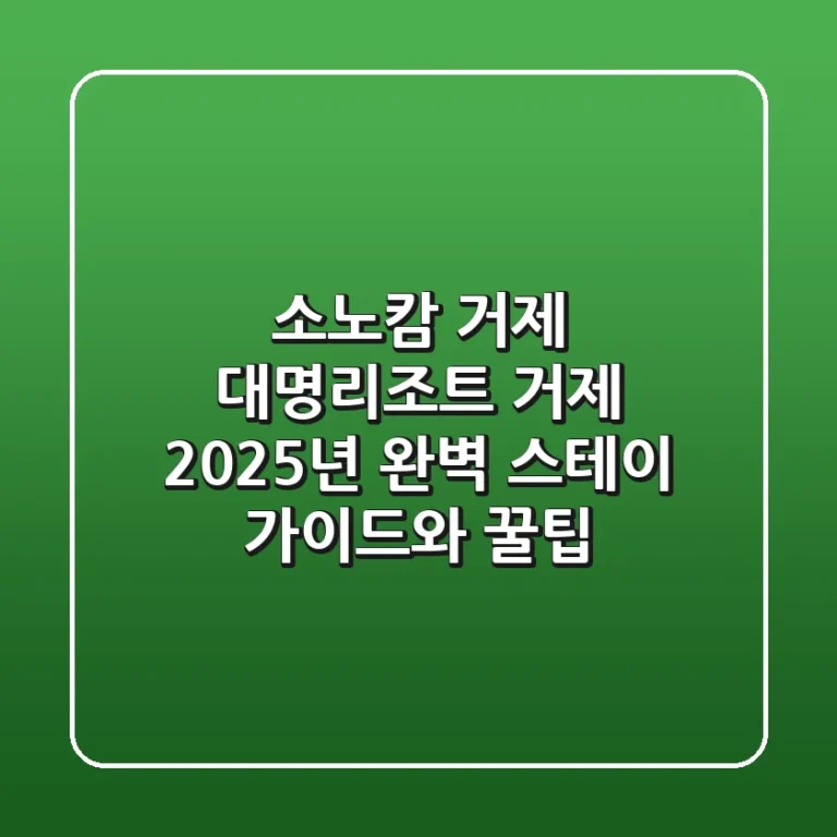 소노캄 거제 (대명리조트 거제), 2025년 완벽 스테이 가이드와 꿀팁