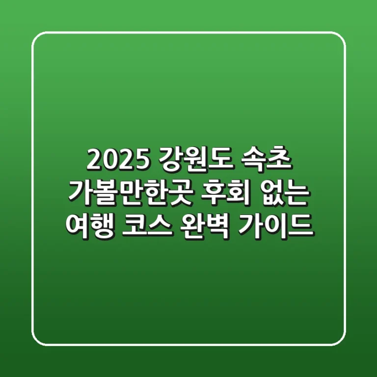 2025 강원도 속초 가볼만한곳, 후회 없는 여행 코스 완벽 가이드!