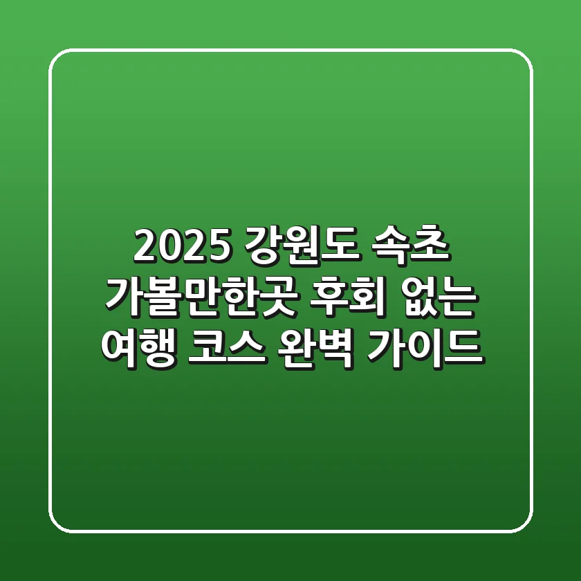 2025 강원도 속초 가볼만한곳, 후회 없는 여행 코스 완벽 가이드!