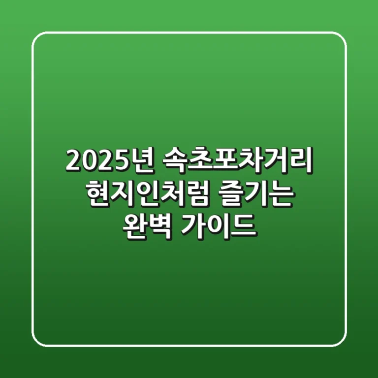 2025년 속초포차거리, 현지인처럼 즐기는 완벽 가이드