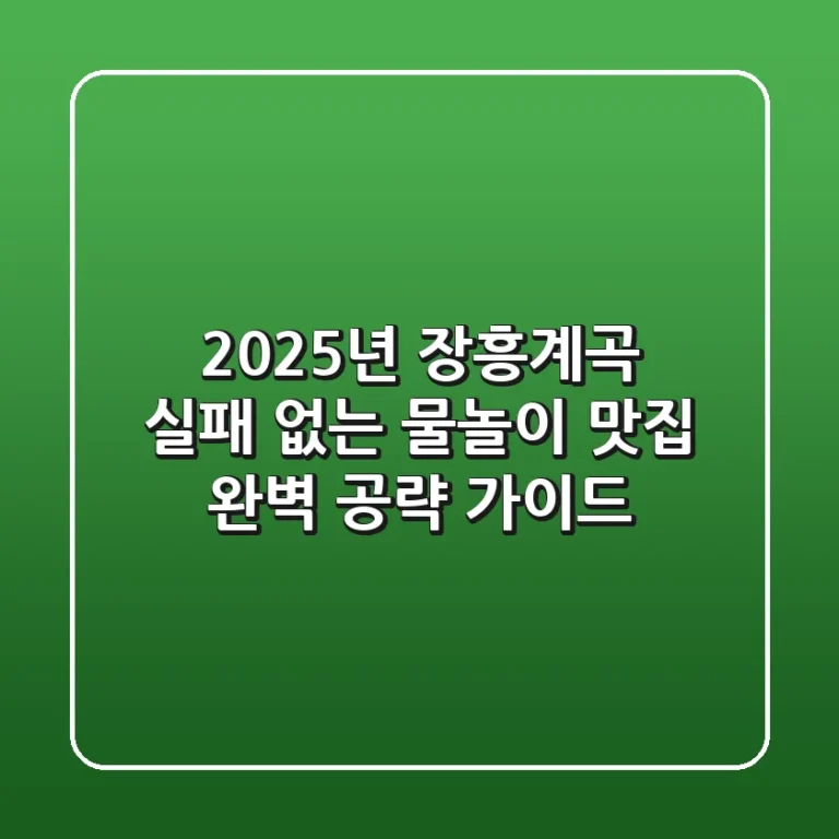 2025년 장흥계곡, 실패 없는 물놀이 & 맛집 완벽 공략 가이드