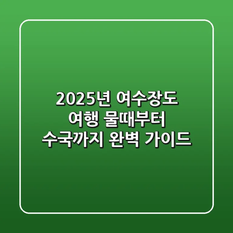 2025년 여수장도 여행, 물때부터 수국까지 완벽 가이드