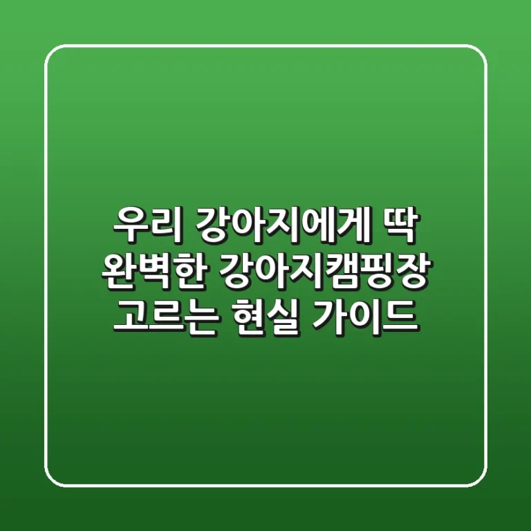 우리 강아지에게 딱! 완벽한 강아지캠핑장 고르는 현실 가이드