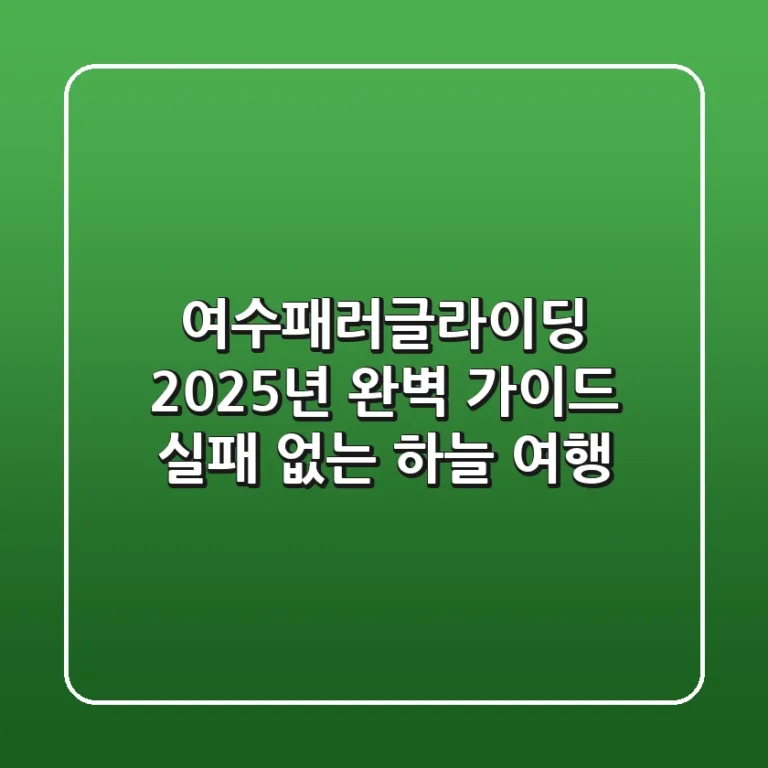 여수패러글라이딩, 2025년 완벽 가이드: 실패 없는 하늘 여행