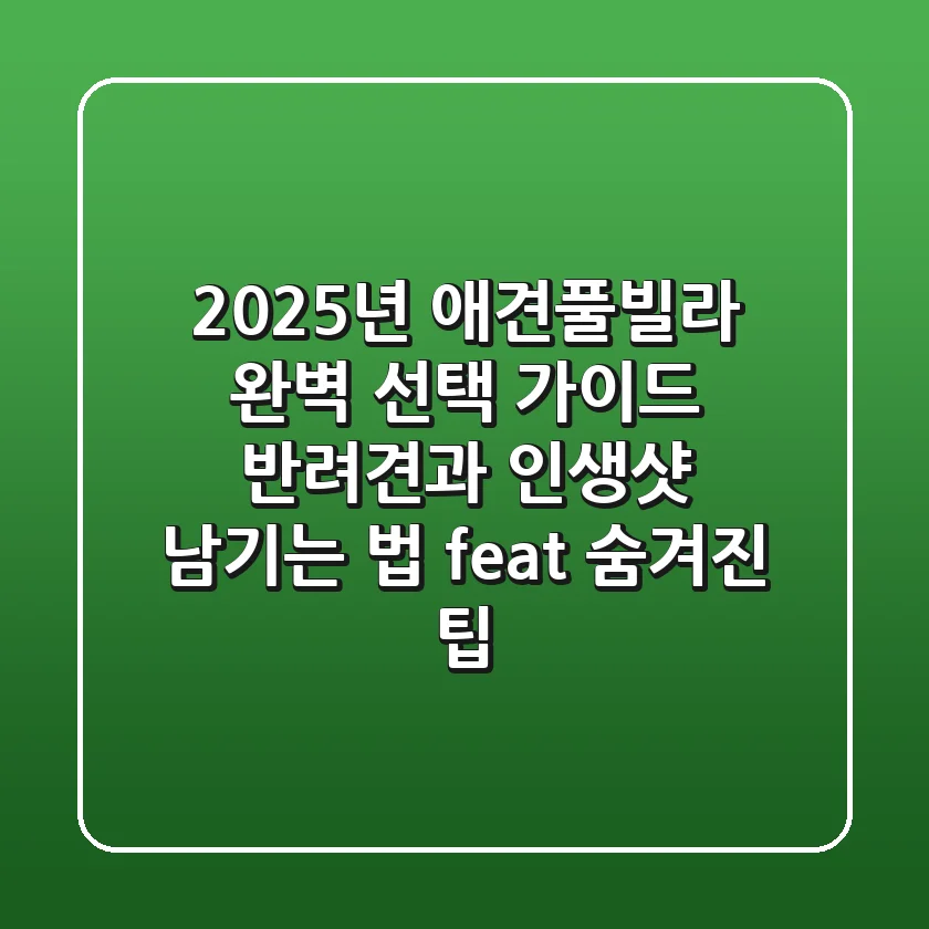 2025년 애견풀빌라 완벽 선택 가이드: 반려견과 인생샷 남기는 법 (feat. 숨겨진 팁)
