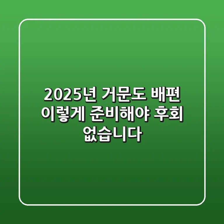 2025년 거문도 배편, 이렇게 준비해야 후회 없습니다!