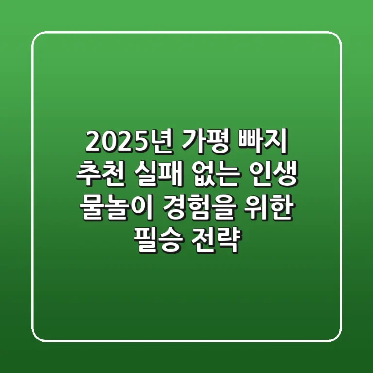 2025년 가평 빠지 추천: 실패 없는 인생 물놀이 경험을 위한 필승 전략