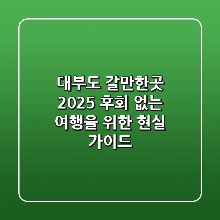 대부도 갈만한곳 2025: 후회 없는 여행을 위한 현실 가이드